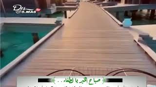 صباح الخير ?? قناة /أملي بالله