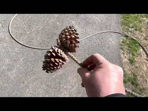 Seasonal Agreement are Key! - YouTube