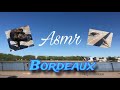 Vlog asmr fr simon me fait visiter bordeaux feat tous les animaux de la ville