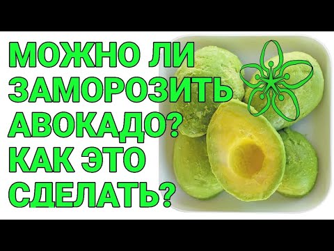 Можно ли замораживать авокадо и как это сделать|  Заморозить авокадо | Ешь и худеешь|