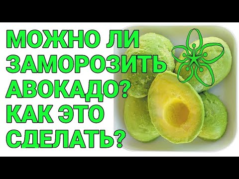 Видео: Можно ли заморозить авокадо?