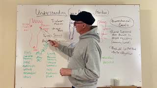 Understanding Gait Mechanics (the foot) #biomechanics #footfunction #pronation #supination #gait
