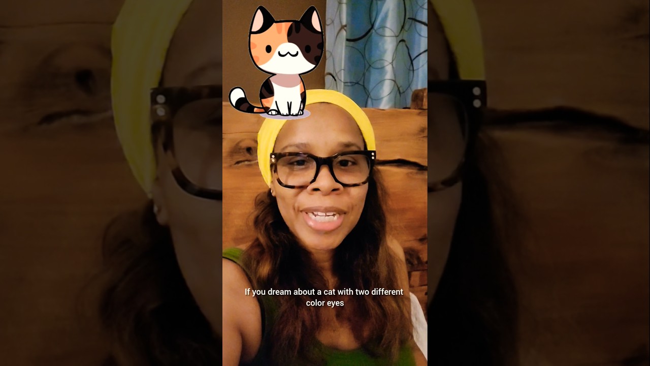 Cat With Two Different Color Eyes Dream Meaning! 🐱 