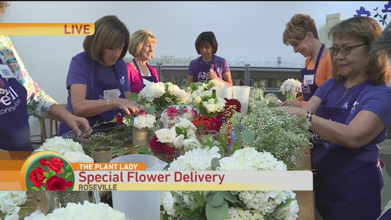 Special Flower Delivery YouTube