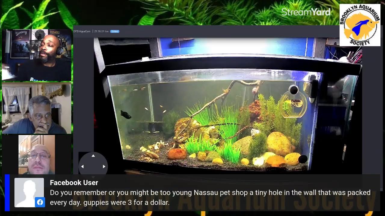 Aquarium Society Q & A Featuring Dee from Brooklyn