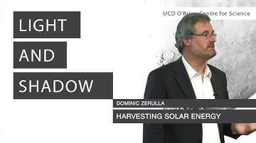 Harvesting Solar Energy | Dominic Zerulla | Light & Shadow