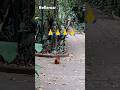 reflemar #reflexão #jesus #motivacional