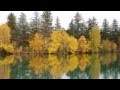 STAMATIS SPANOUDAKIS - Autumn
