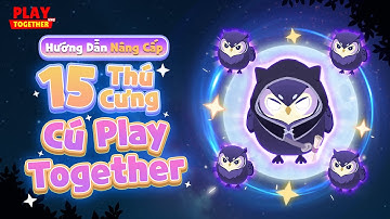 PLAY TOGETHER VNG | HƯỚNG DẪN GHÉP NÂNG CẤP THÚ CƯNG CÚ MÈO MỚI