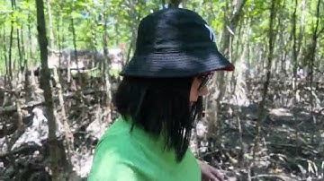 Huyện Đảo Cần Giờ/ Rừng Sác/Chợ Hàng Dương - #2 Saigon Travel