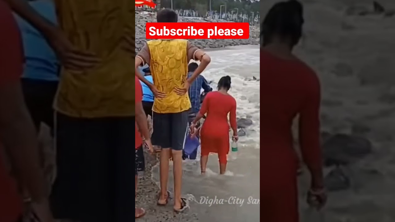 Digha sea. dolphin fish  today live