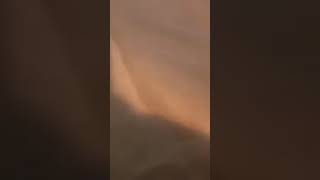 Huge Retro Gaming Haul Gamecube, Ps1, Xbox Rare Finds Brians Computer Games