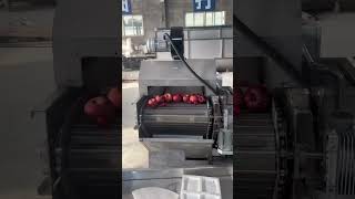 #CleaningEquipment#IndustrialWashingMachine#AutomaticDryer#IndustrialCleaningMachine#conveyorbelt
