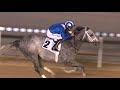9/12/21 - Race 4 - DP World UAE Sprint