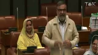 MQM Senator Amir Chishti Highlights Karachi’s Problems, Says No Government Takes Ownership