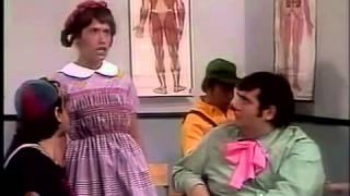 El Chavo Del 8 Colegio Cuales Son Los Animales Que Comen Carne