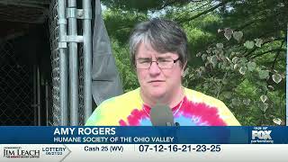 Humane Society of the Ohio Valley to participate in empty the shelters