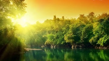 سورة الكهف بتلاوة هادئة و متميزة للقارئ ياسر الفيلكاوي