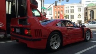 All of these cars were spotted during the ferrari usa 60 year
anniversary. enzo, f50, f40 & 288 gto parked on rodeo drive. easily 4
most c...