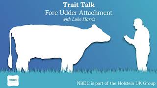 Trait Talk - Episode 11 - Fore Udder Attachment