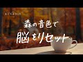心が整う木の音 BGM 北欧Ver|作業用・読書・勉強・聞き流し