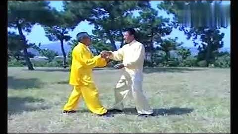 Xiu Liang - Northern Wu Pushing Hands