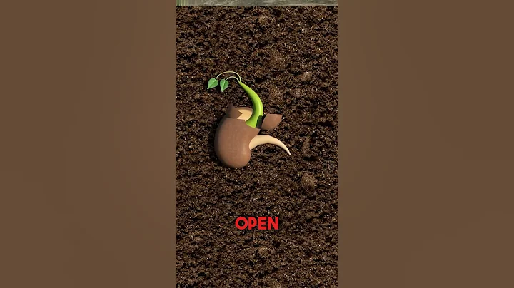 How A Plant Grows 😮