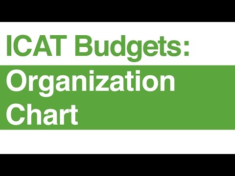 ICAT Budgets: Organization Chart