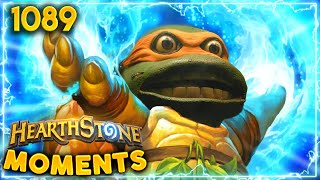 A HERO In A Half Shell, TURTLE POWER! | Hearthstone Daily Moments Ep.1089