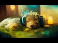 Lofi dog track 5  pet asmr lofi relaxing study music separation anxiety relief