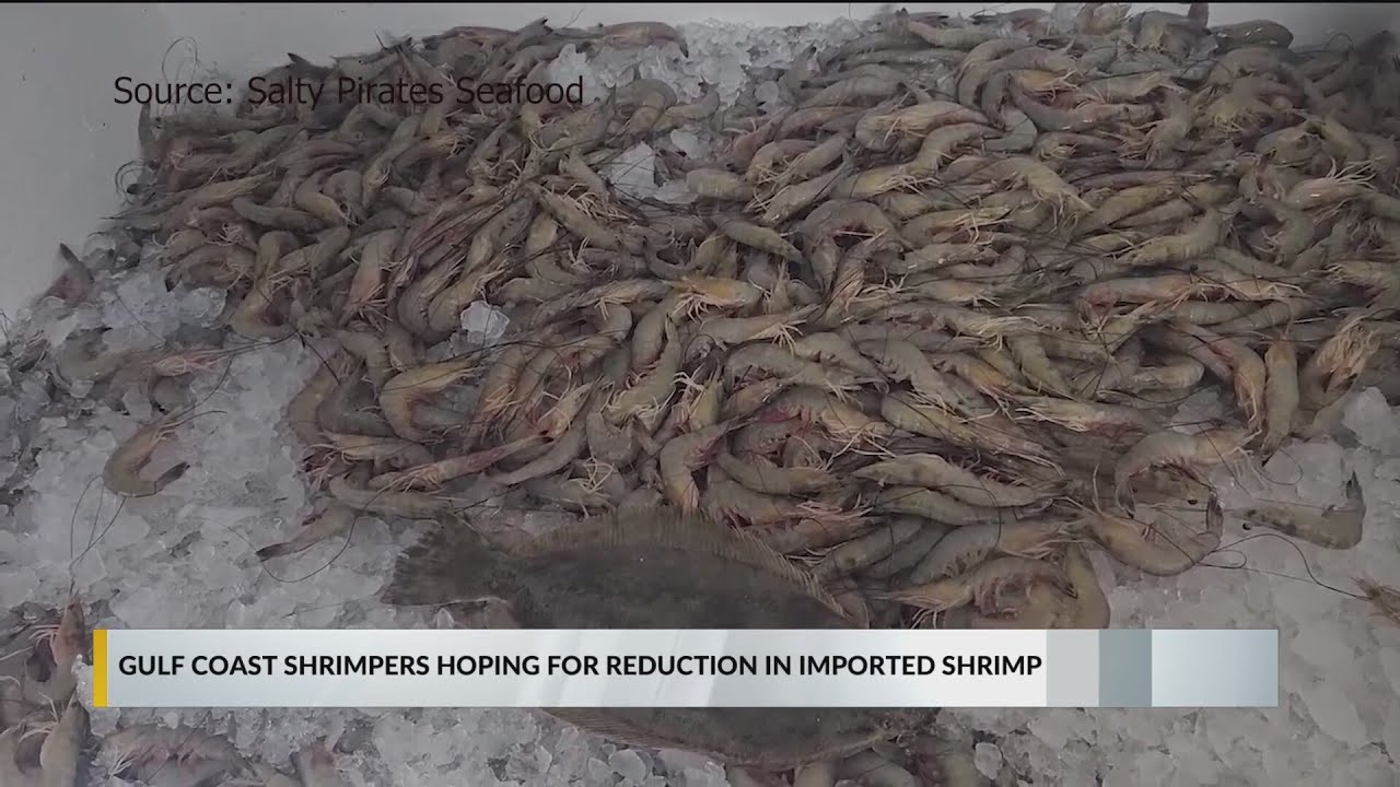 “Save our Shrimpers” highlighting struggles of Gulf seafood industry