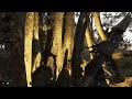 HUNT: SHOWDOWN 1896 Fear the Lancer core!