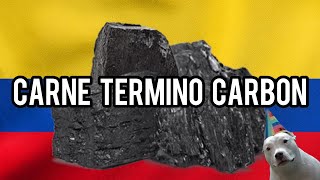 Carne Término Medio