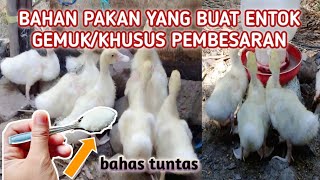 FEED INGREDIENTS TO MAKE DUCKY MUSHROOMS FAT/SPECIALLY FOR ENLARGING