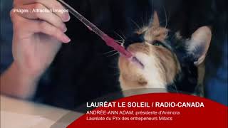 Animora - Lauréate Le Soleil Radio Canada