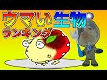 ピクミンのおいしい原生生物ランキング【トラウマブレイカー】