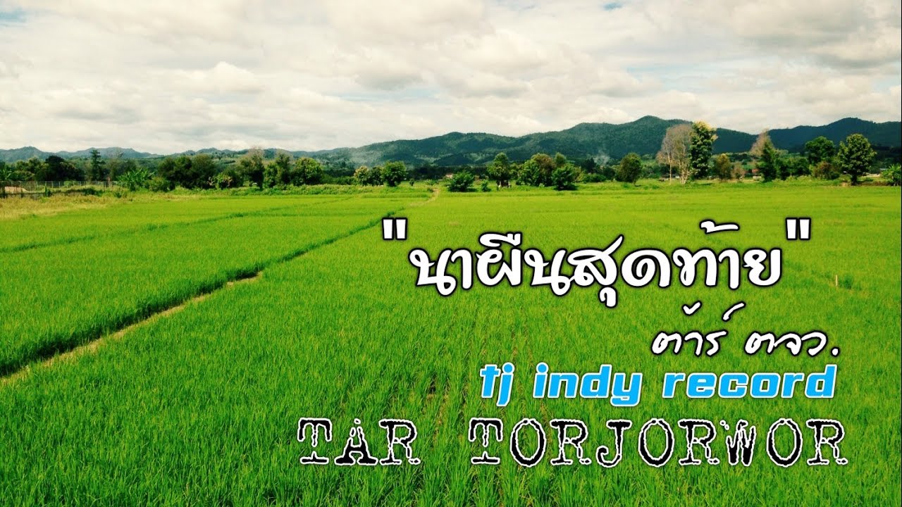 พื้นสีทอง  New Update  [Official Audio] นาผืนสุดท้าย - ต้าร์ ตจว.