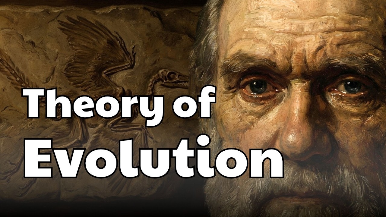The Theory of Evolution || Graded Reader || Improve Your English Fluency ✅️