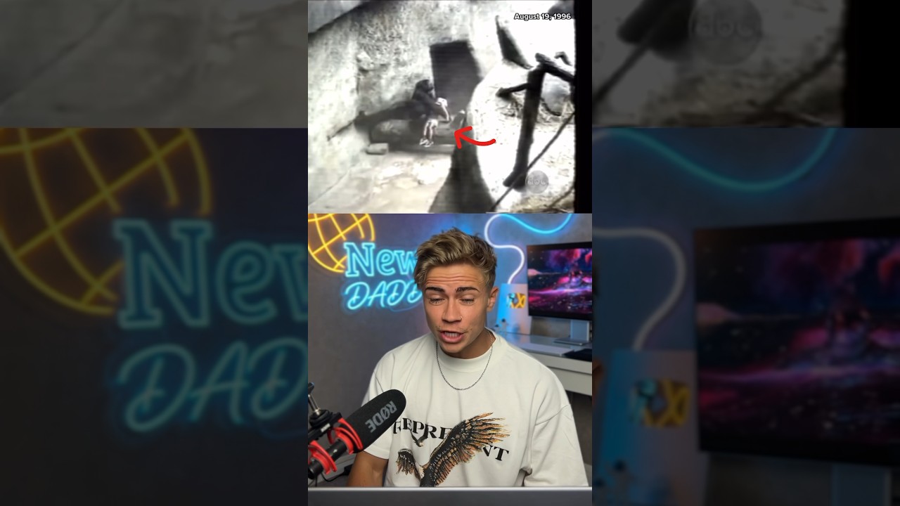 Трёхлетний мальчик упал в вольер к гориллам… (неожиданно)