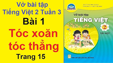 Vở Bài Tập Tiếng Việt Lớp 2 Chân Trời Sáng Tạo Tuần 3 Bài 1 - Tóc Xoăn Tóc Thẳng - Trang 15