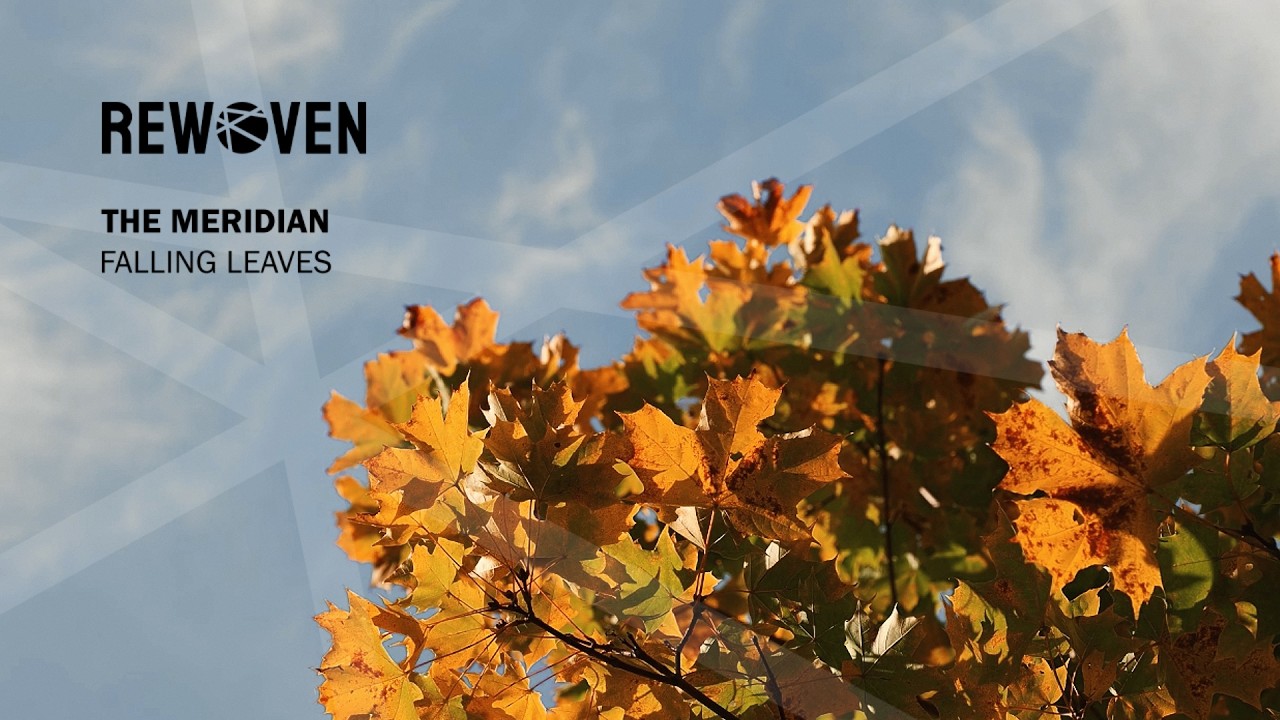 The Meridian - Falling Leaves adlı videoyu YouTube'da izle The Meridian - Falling Leaves adlı videoyu YouTube'da izle