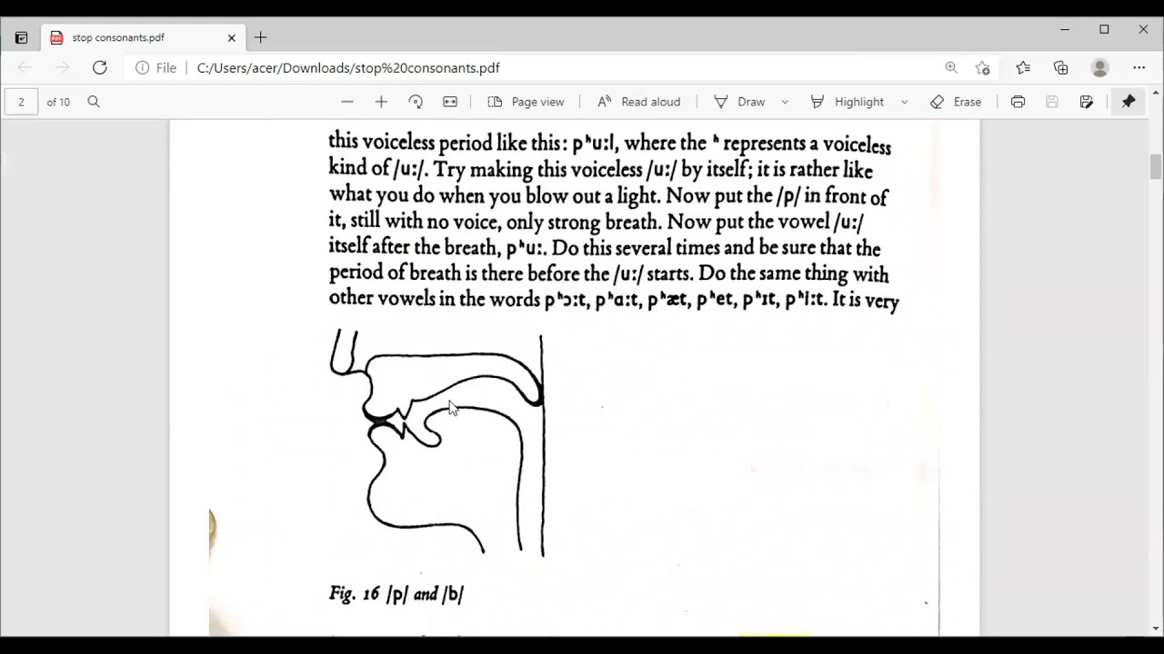 لغات انكليزي مرحلة اولى مادة الصوت محاضرة الفصل الثالثPronunciation 11 Stop consonants