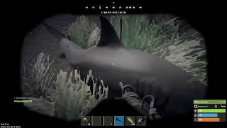 The Recent Patch Fixed Invalids On Sharks! (RCE) #rustconsoleedition #publictestbranch