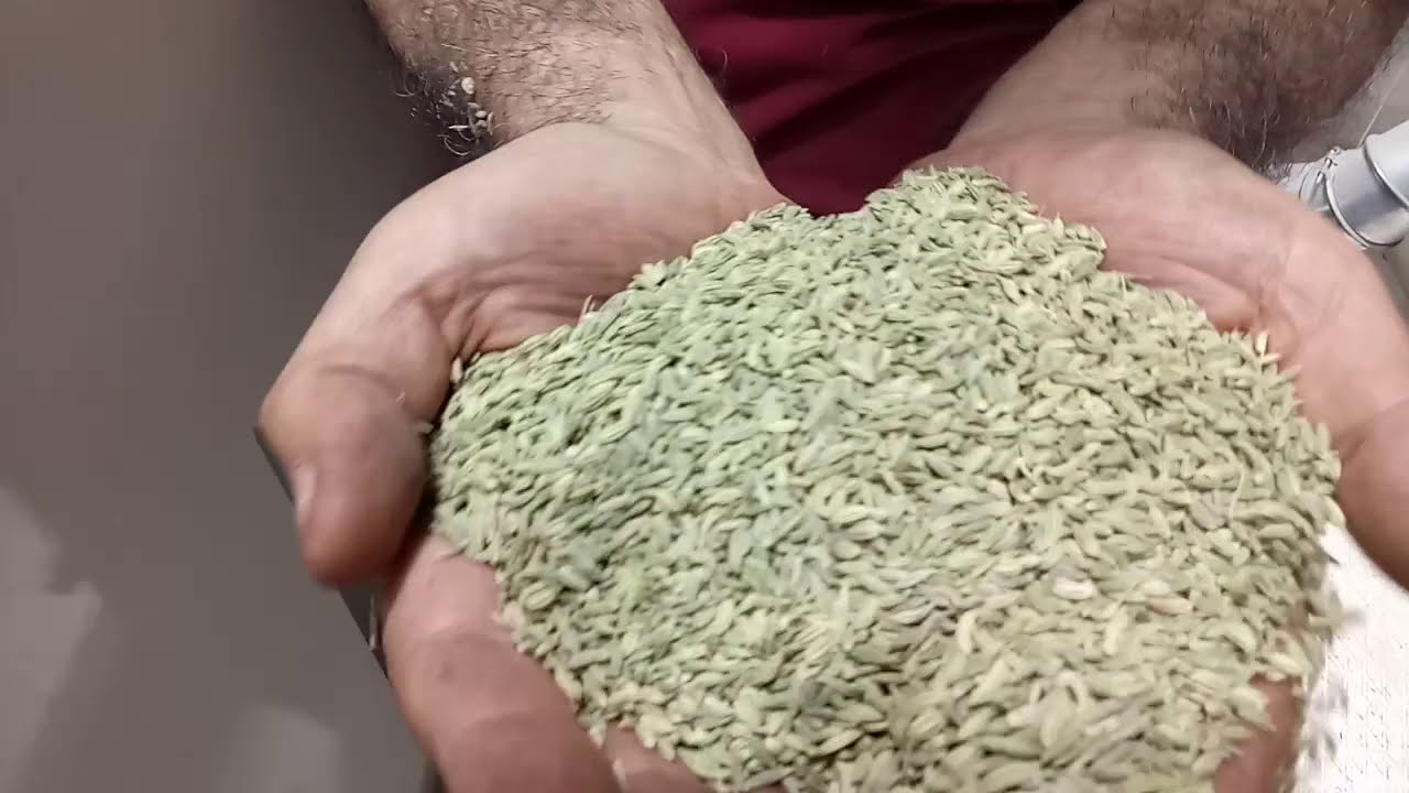 India Pune Fennel Seed Cleaning Plant