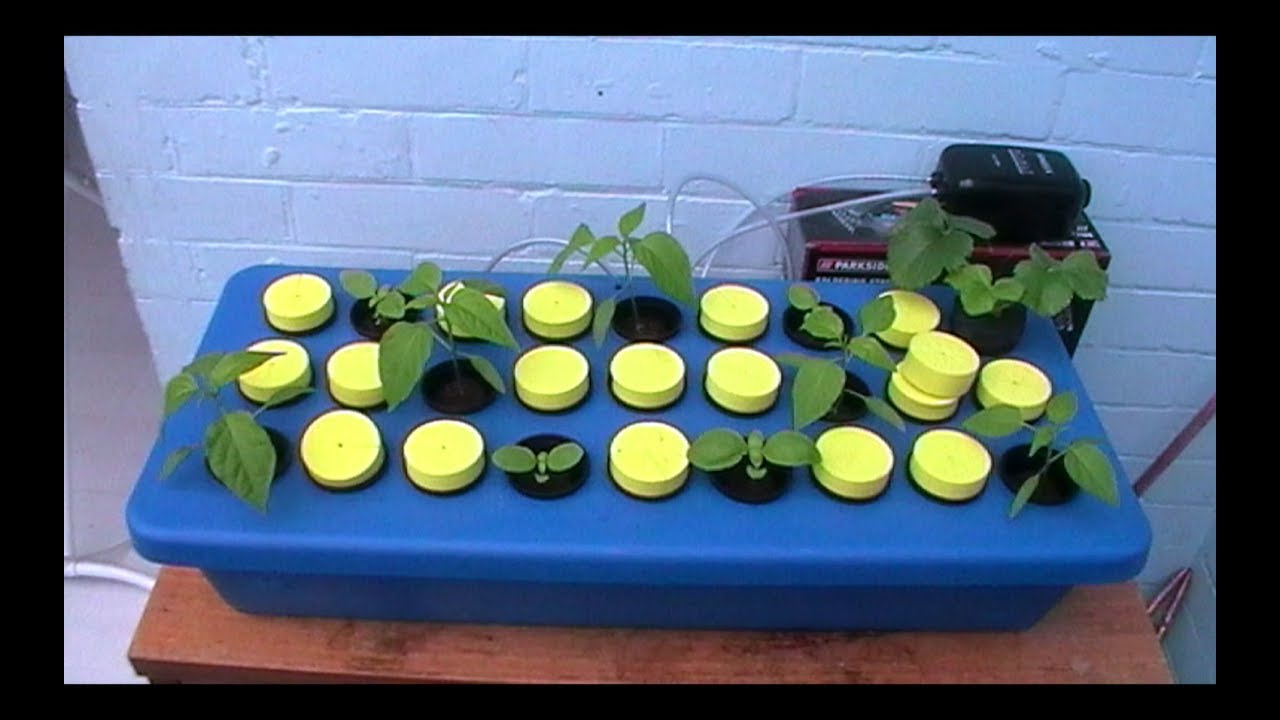 General Hydroponics CuttingBoard