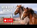 Wild Horse Name Reveal &amp; Mustang Training FAQs [MTN BUILT Monday LIVE!]