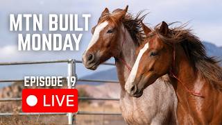 Wild Horse Name Reveal & Mustang Training FAQs [MTN BUILT Monday LIVE!]