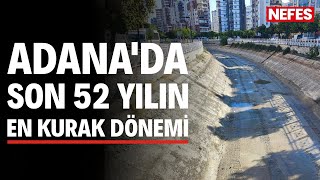 Adana'da son 52 yılın en kurak dönemi: Nehre ve kanallara su verilmiyor