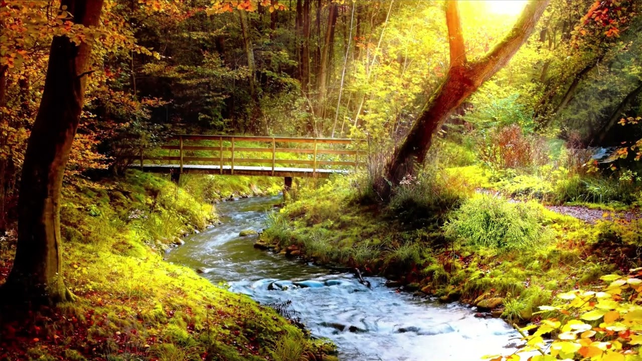 Soft Water Stream Sounds with Relaxing Music 💧🎶 Calm Nature Ambience for  Relaxation & Peace | 4K