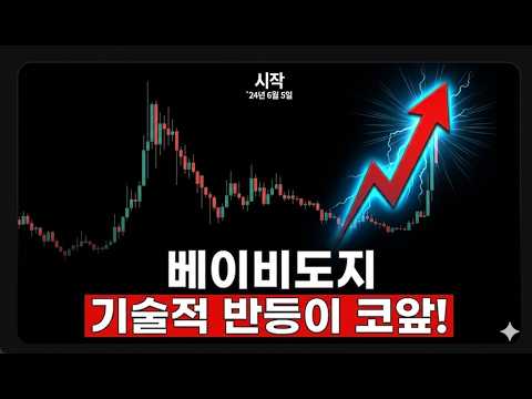 [베이비도지 전망] 6/8 충격! 한 분기에 12조 개가 증발했다.. 이번주 "이 종목" 소각 폭탄 터지기 전에 잡아!!
